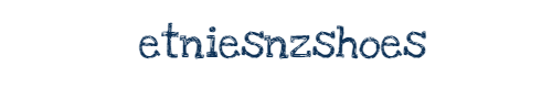 etniesnzshoes.com